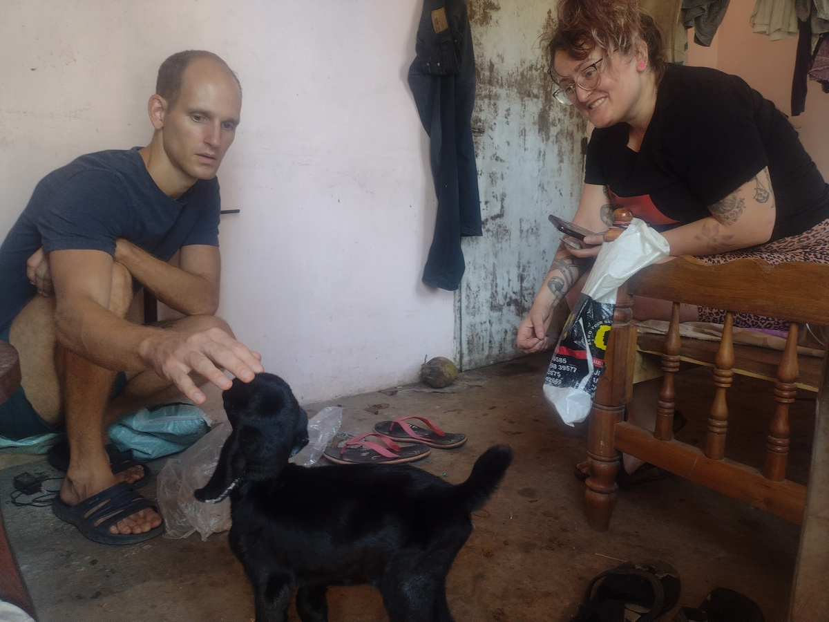 Tyler and Beth feed Cassie the Kid