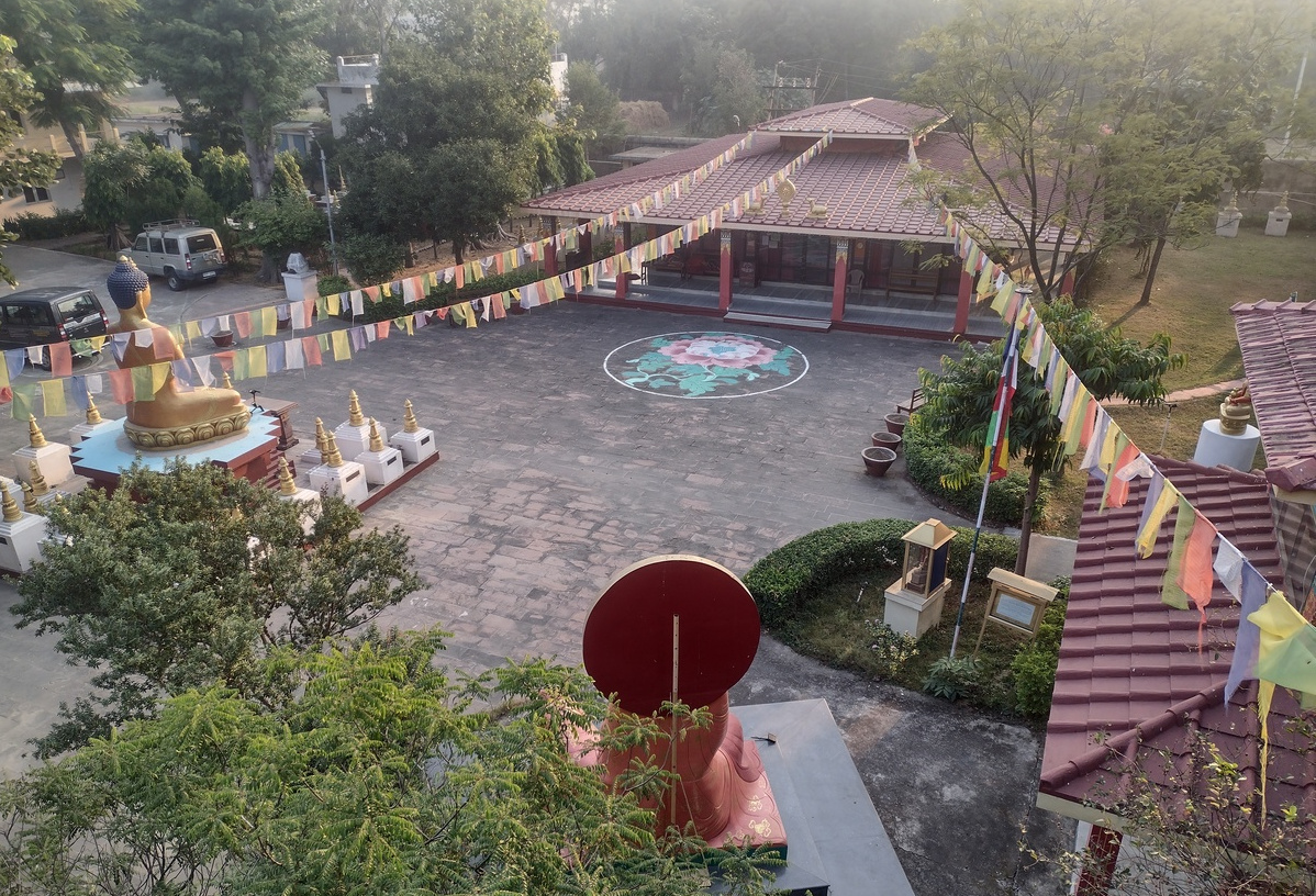 Root Institute from Rooftop