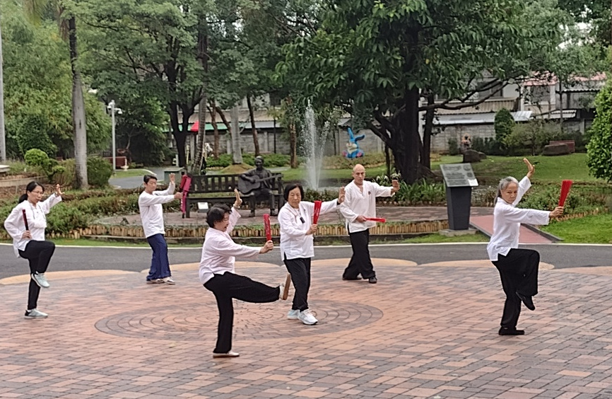 Tai Chi in the Park