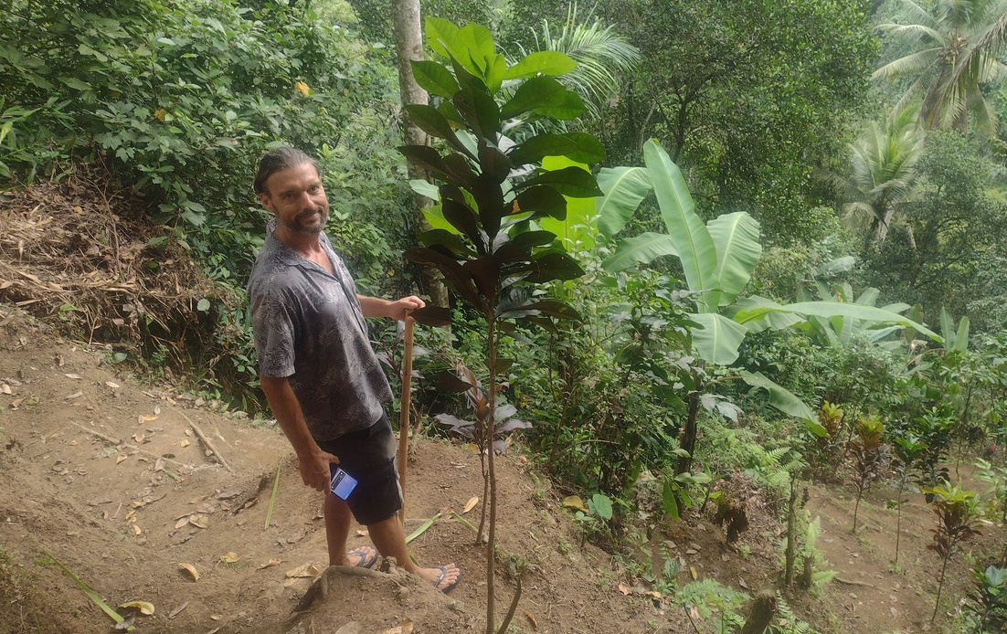 A walk in the jungle with Jim